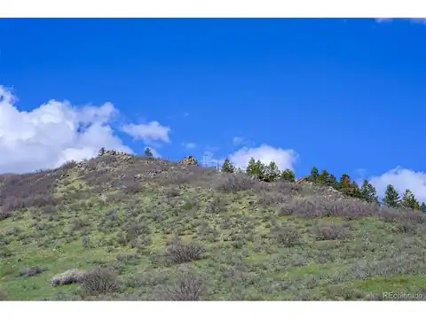 16653 Golden Rod Ln, Morrison, CO 80465 — photo 6
