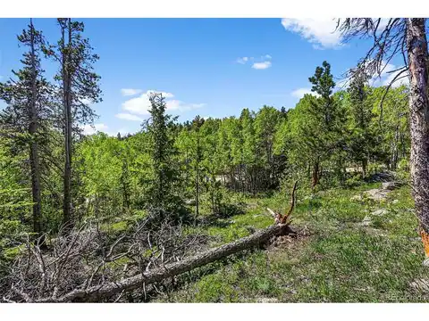 900 Rudi Ln, Golden, CO 80403 — photo 14