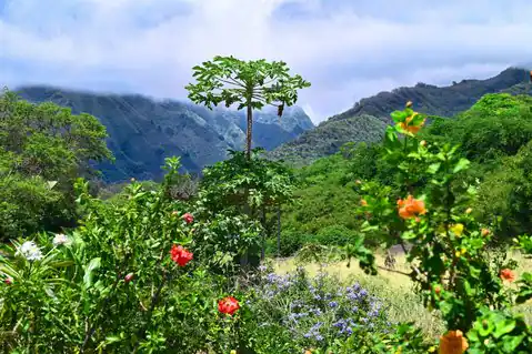 1270 Piihana Rd, Wailuku, HI 96793 — photo 7