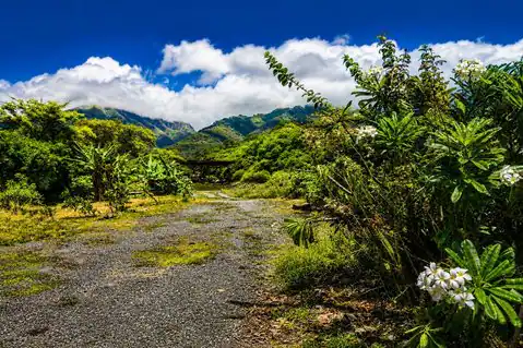 1270 Piihana Rd, Wailuku, HI 96793 — photo 8