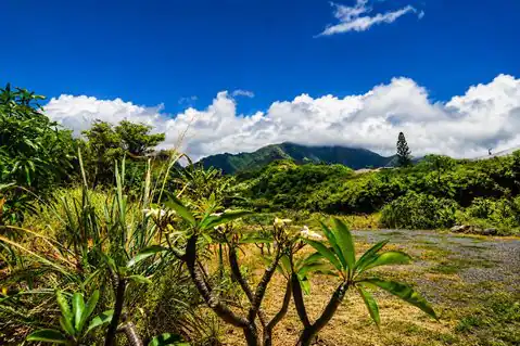 1270 Piihana Rd, Wailuku, HI 96793 — photo 9
