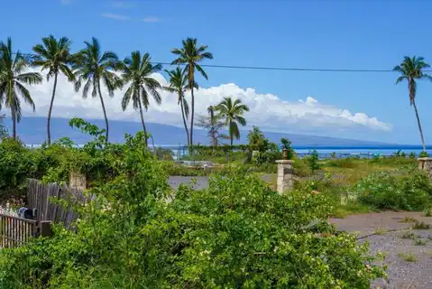 1184 Halepaka Pl, Lahaina, HI 96761 — photo 13