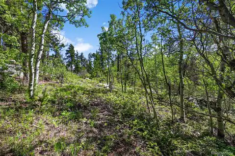 900 Rudi Lane, Golden, CO 80403 — photo 13