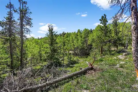 900 Rudi Lane, Golden, CO 80403 — photo 14