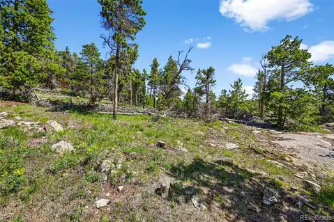 900 Rudi Lane, Golden, CO 80403 — photo 15