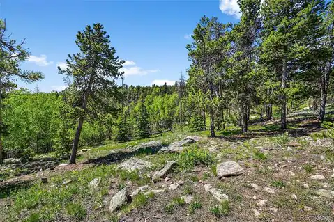 900 Rudi Lane, Golden, CO 80403 — photo 4