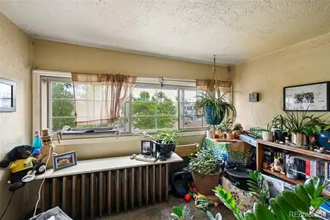 1646 N High Street, Denver, CO 80218 — photo 39