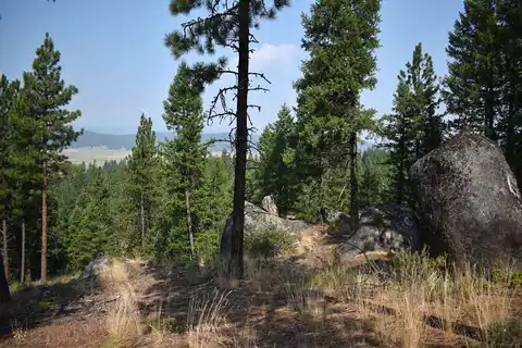 33 San Ignacio Way, Cascade, ID 82611 — photo 19