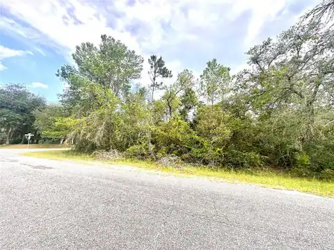 SAFFRON AVENUE, EUSTIS, FL 32736 — photo 2