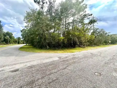SAFFRON AVENUE, EUSTIS, FL 32736 — photo 3