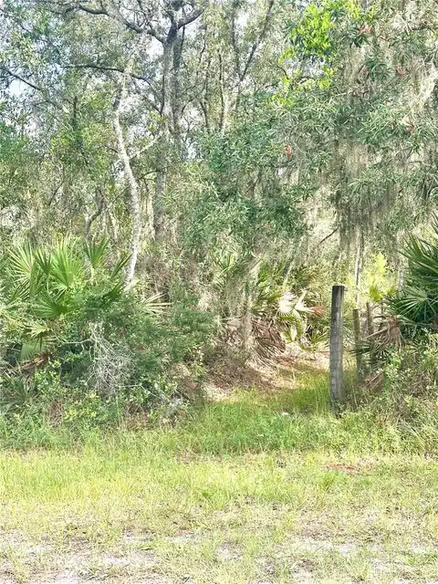 SAFFRON AVENUE, EUSTIS, FL 32736 — photo 4