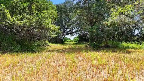 3120 CHEROKEE ROAD, ST CLOUD, FL 34772 — photo 4