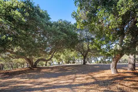 9 Corral RUN, Carmel, CA 93923 — photo 10