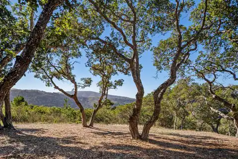 9 Corral RUN, Carmel, CA 93923 — photo 11