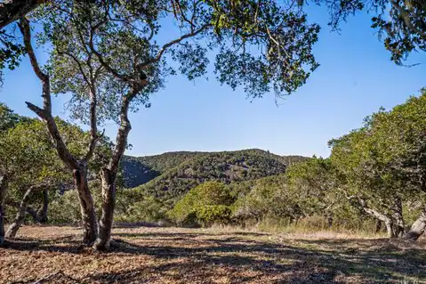 9 Corral RUN, Carmel, CA 93923 — photo 12