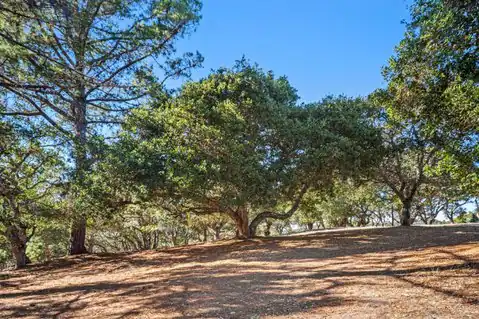 9 Corral RUN, Carmel, CA 93923 — photo 13