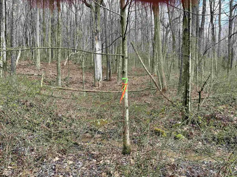 Lot 23 Hobbits Glenn Estates, Masontown, WV 26542