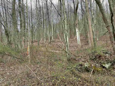 Lot 23 Hobbits Glenn Estates, Masontown, WV 26542 — photo 13