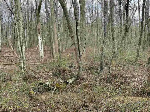 Lot 23 Hobbits Glenn Estates, Masontown, WV 26542 — photo 14