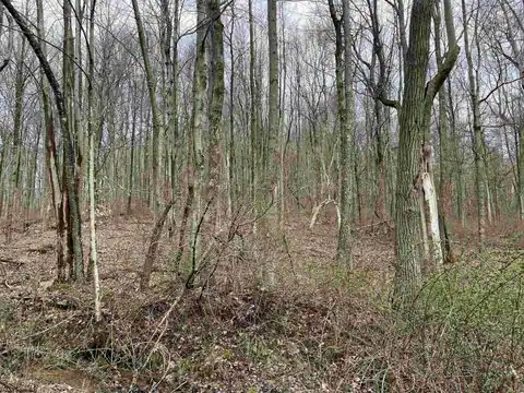 Lot 23 Hobbits Glenn Estates, Masontown, WV 26542 — photo 15