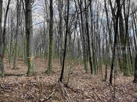 Lot 23 Hobbits Glenn Estates, Masontown, WV 26542 — photo 16