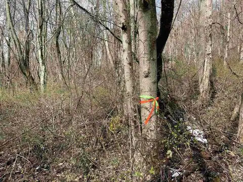 Lot 23 Hobbits Glenn Estates, Masontown, WV 26542 — photo 2
