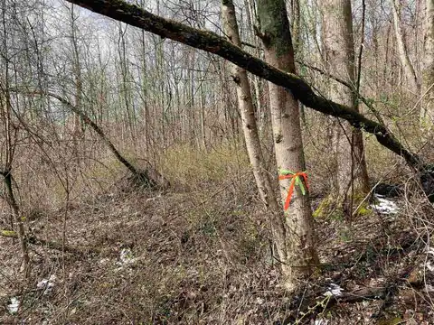 Lot 23 Hobbits Glenn Estates, Masontown, WV 26542 — photo 3