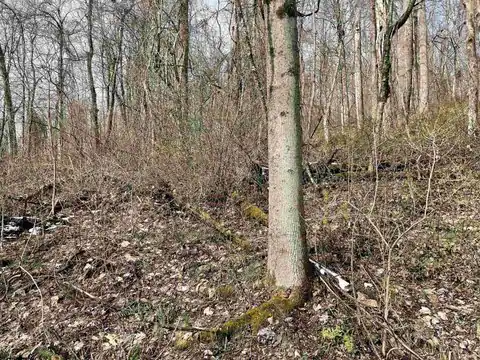 Lot 23 Hobbits Glenn Estates, Masontown, WV 26542 — photo 6
