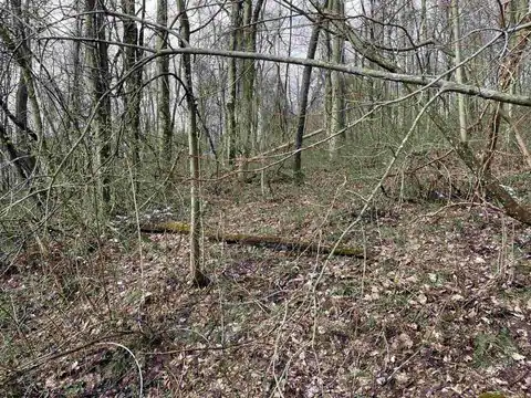 Lot 23 Hobbits Glenn Estates, Masontown, WV 26542 — photo 8