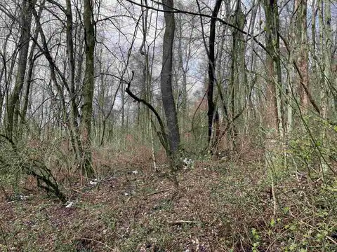 Lot 23 Hobbits Glenn Estates, Masontown, WV 26542 — photo 9