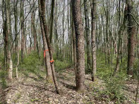Lot 28 Hobbits Glenn Estates, Masontown, WV 26542 — photo 10