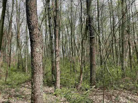 Lot 28 Hobbits Glenn Estates, Masontown, WV 26542 — photo 11