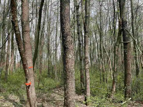 Lot 28 Hobbits Glenn Estates, Masontown, WV 26542 — photo 12