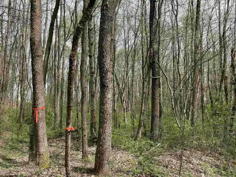 Lot 28 Hobbits Glenn Estates, Masontown, WV 26542 — photo 13