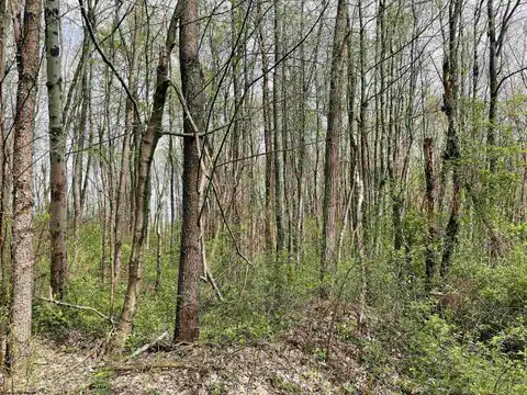 Lot 28 Hobbits Glenn Estates, Masontown, WV 26542 — photo 14