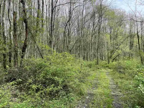 Lot 28 Hobbits Glenn Estates, Masontown, WV 26542 — photo 15
