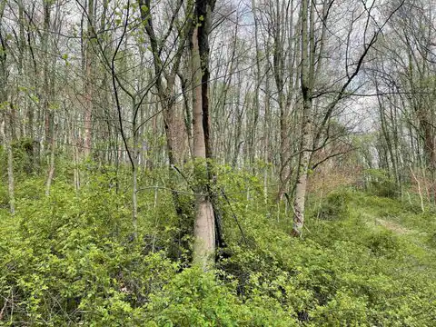 Lot 28 Hobbits Glenn Estates, Masontown, WV 26542 — photo 16