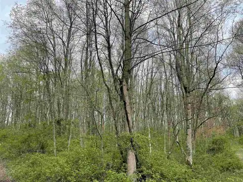 Lot 28 Hobbits Glenn Estates, Masontown, WV 26542 — photo 17