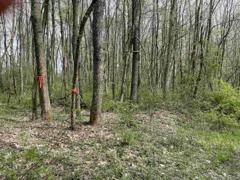Lot 28 Hobbits Glenn Estates, Masontown, WV 26542 — photo 18