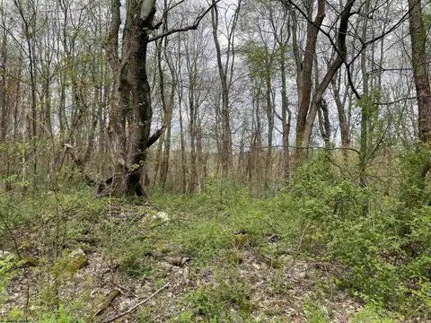 Lot 28 Hobbits Glenn Estates, Masontown, WV 26542 — photo 5