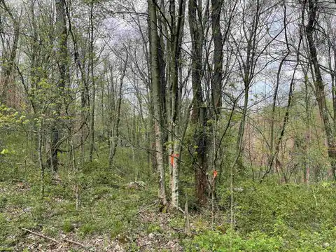 Lot 28 Hobbits Glenn Estates, Masontown, WV 26542 — photo 6
