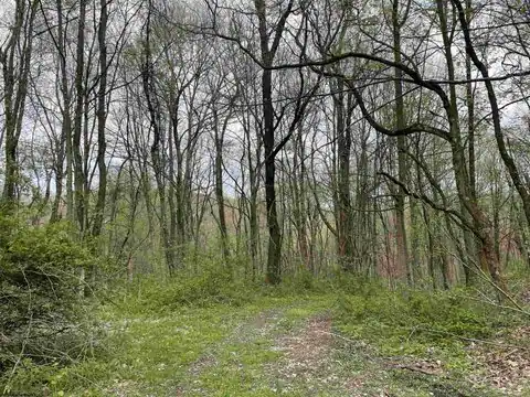 Lot 28 Hobbits Glenn Estates, Masontown, WV 26542 — photo 8