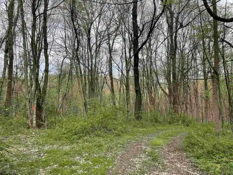 Lot 28 Hobbits Glenn Estates, Masontown, WV 26542 — photo 9