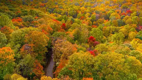 Lot 21 Snake Hill Road, Morgantown, WV 26508 — photo 10