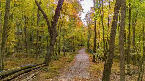 Lot 21 Snake Hill Road, Morgantown, WV 26508 — photo 12