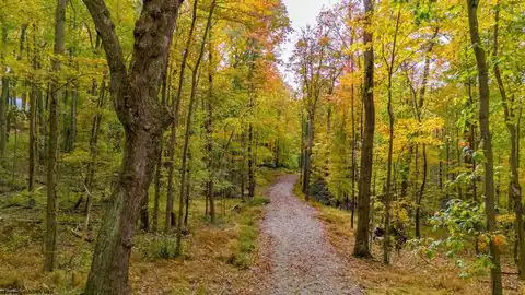 Lot 21 Snake Hill Road, Morgantown, WV 26508 — photo 13