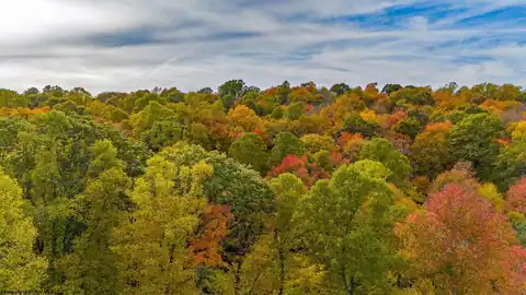 Lot 21 Snake Hill Road, Morgantown, WV 26508 — photo 17