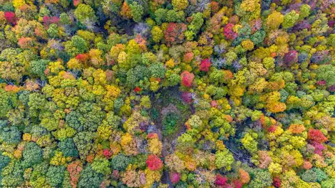 Lot 21 Snake Hill Road, Morgantown, WV 26508 — photo 18