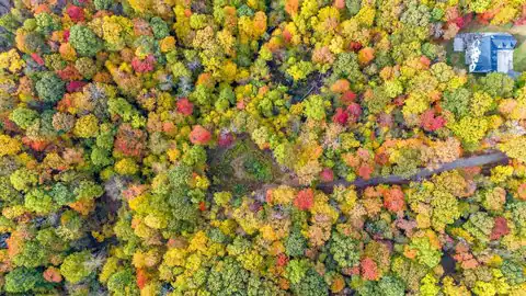 Lot 21 Snake Hill Road, Morgantown, WV 26508 — photo 19