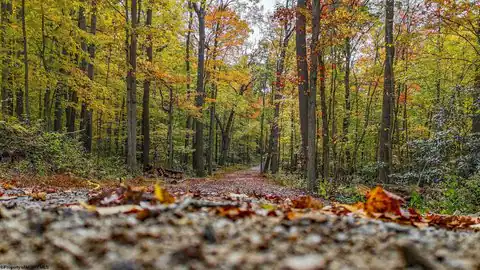 Lot 21 Snake Hill Road, Morgantown, WV 26508 — photo 2